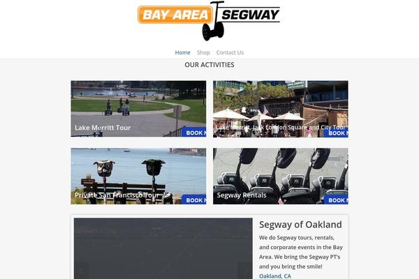 Salient theme site design template sample