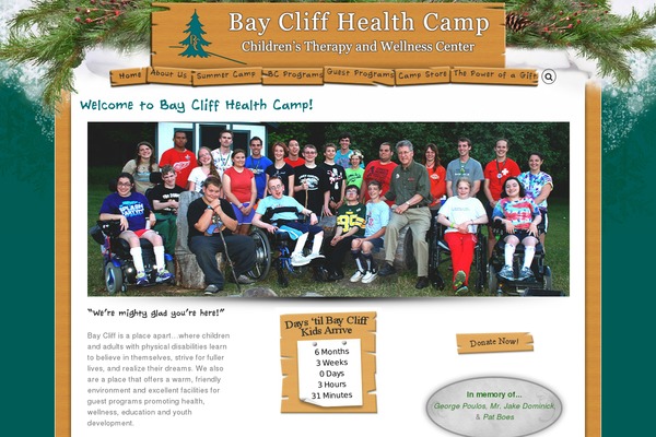 Avada theme site design template sample