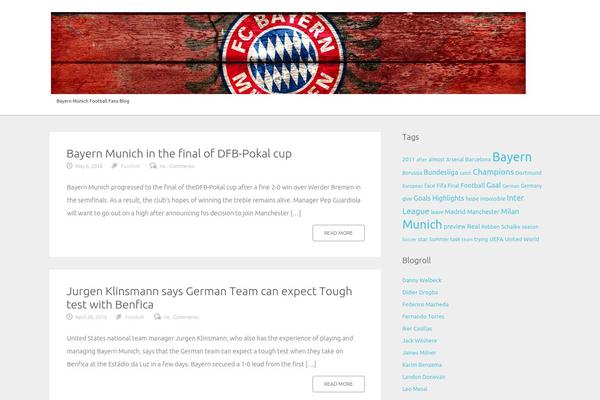 Rara Clean theme site design template sample