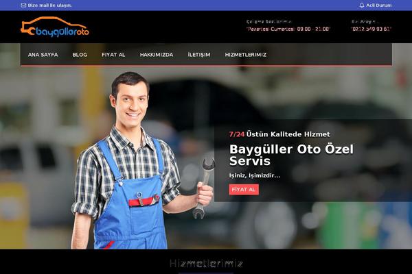 bayguller.com site used Oto