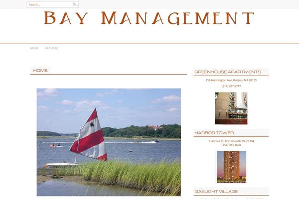 Professional theme site design template sample