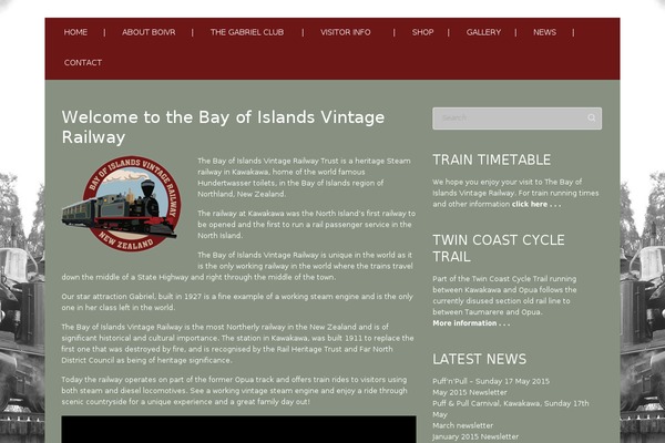 Attitude Pro theme site design template sample