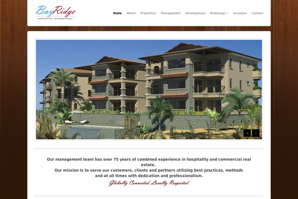 Bizz theme site design template sample