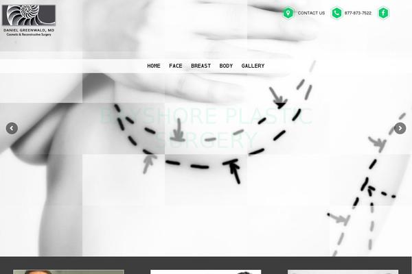 bayshoreplasticsurgery.com site used Bayshore