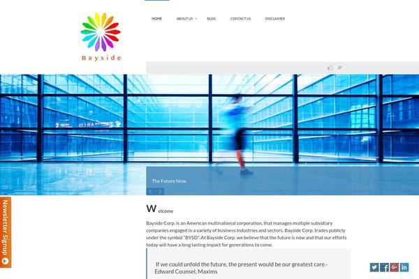 Novus theme site design template sample
