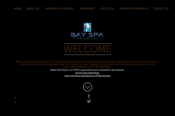 Aviana theme site design template sample