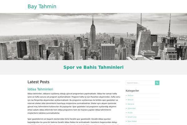 restimpo_child theme websites examples