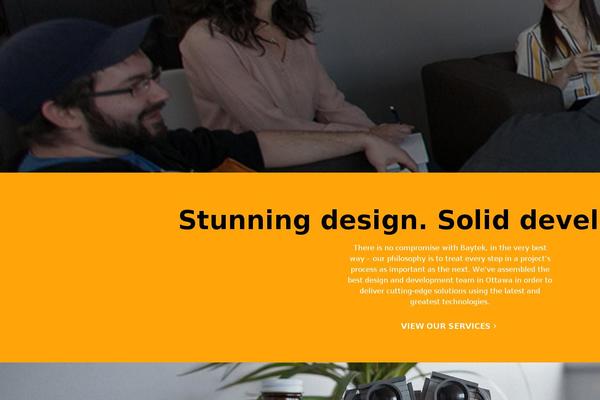 baytek2016 theme websites examples