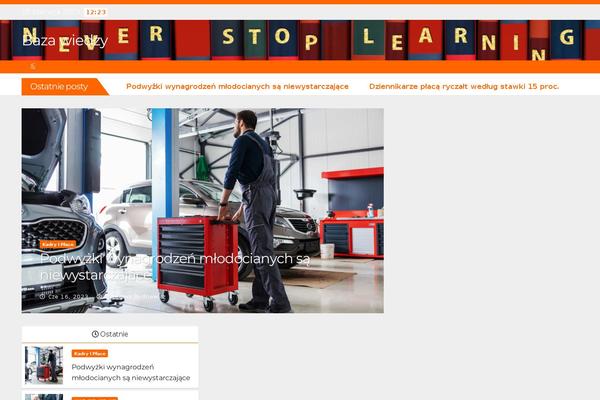 Newsberg theme site design template sample