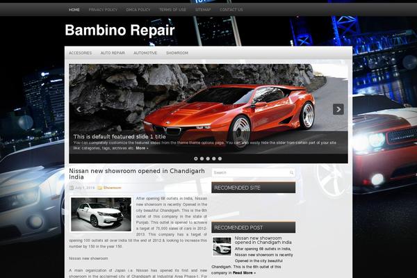 videoportfoliopro theme websites examples