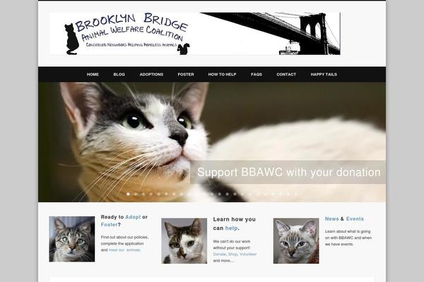 Site using Big MailChimp plugin