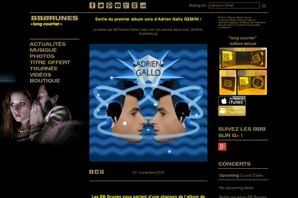 Ari theme site design template sample