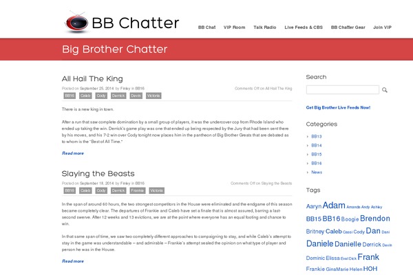 Promotion theme site design template sample
