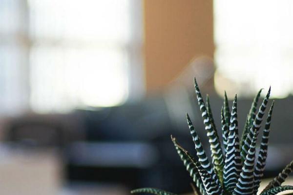 Site using Simple Social Icons plugin