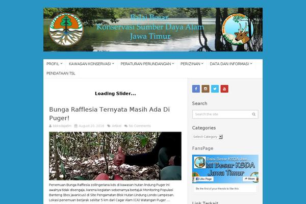 Truepixel theme site design template sample
