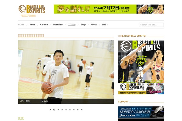 Site using NIVO slider light plugin
