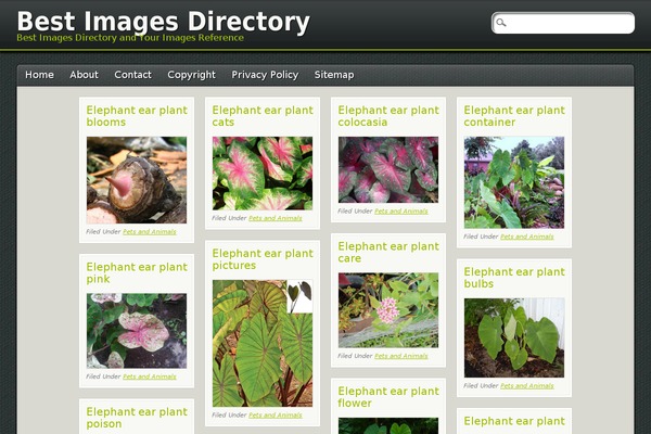 PinBlack theme site design template sample