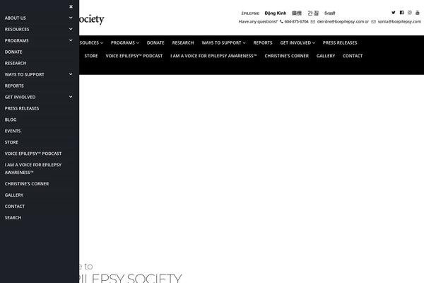 Site using Blog-designer-for-post-and-widget plugin
