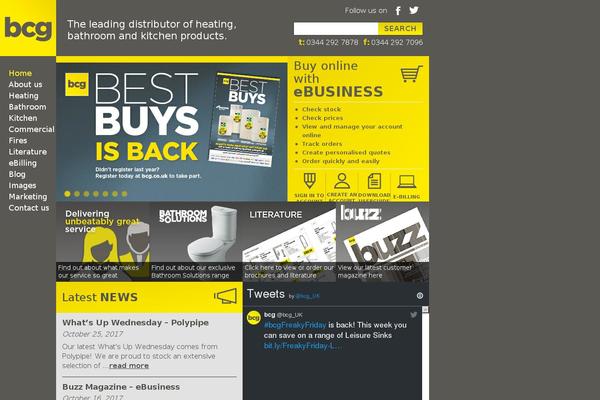 Bcg theme site design template sample
