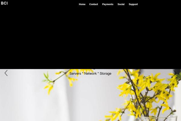 Business-elite theme site design template sample