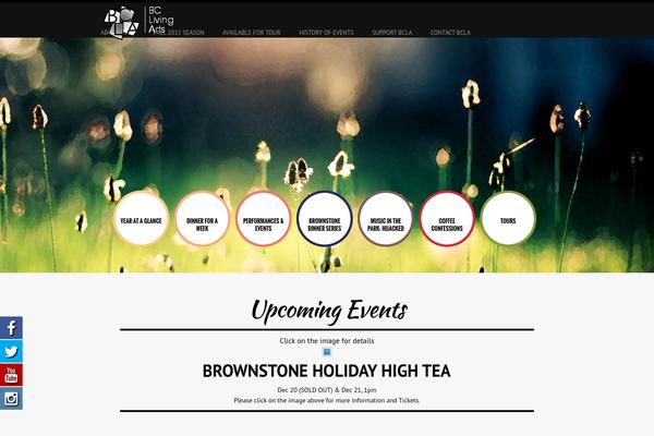 Site using BxSlider WP plugin