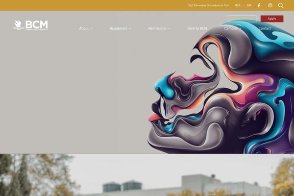 Unicamp theme site design template sample