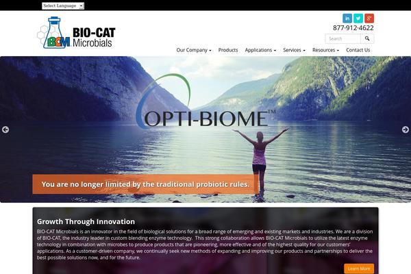 Site using Category Posts Widget plugin