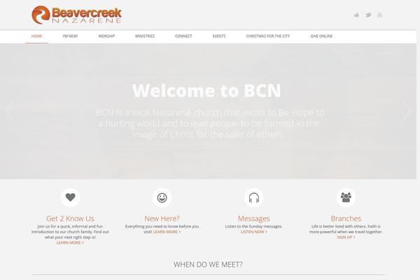 Circles theme site design template sample