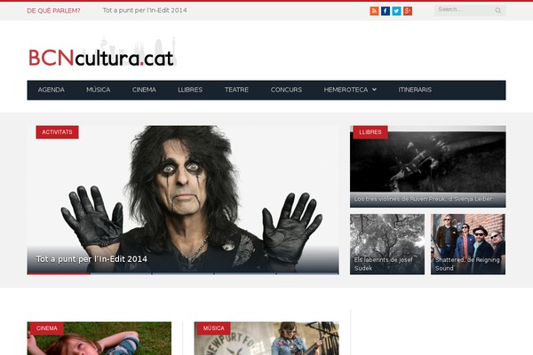 Site using Bunyad-shortcodes plugin