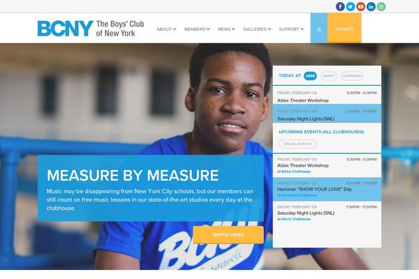 Site using Search & Filter plugin