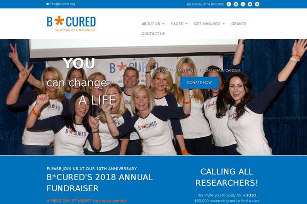 Anfoundation theme site design template sample