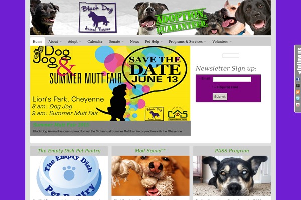 NonProfit theme site design template sample