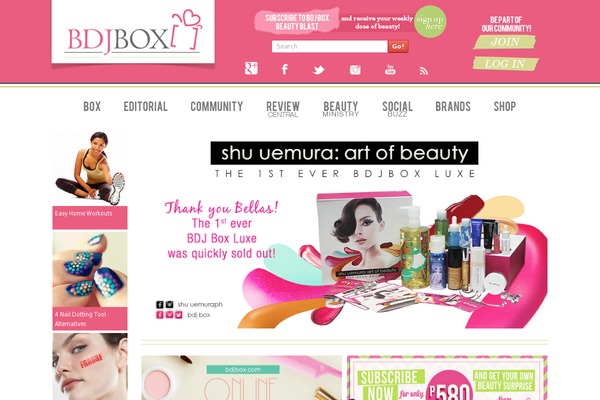 carnation theme websites examples