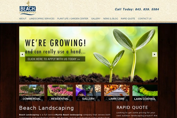 3rf-site theme site design template sample