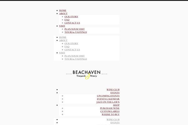 Site using Jetpack-boost plugin