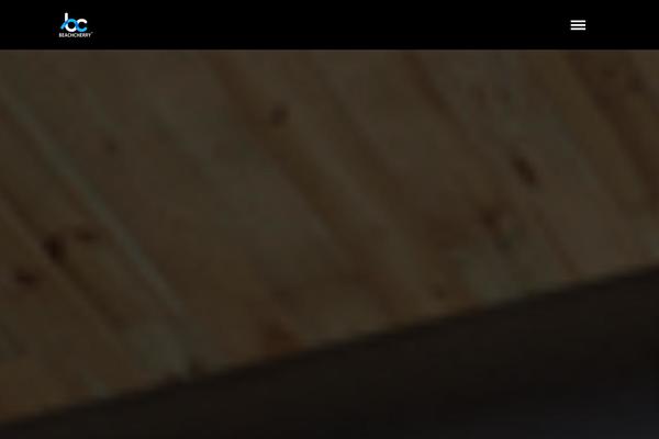 Salem theme site design template sample