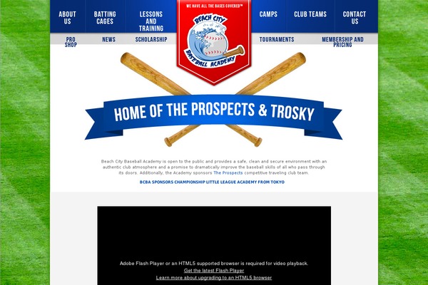 BCBA theme websites examples