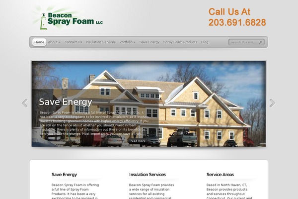 TheProfessional theme site design template sample