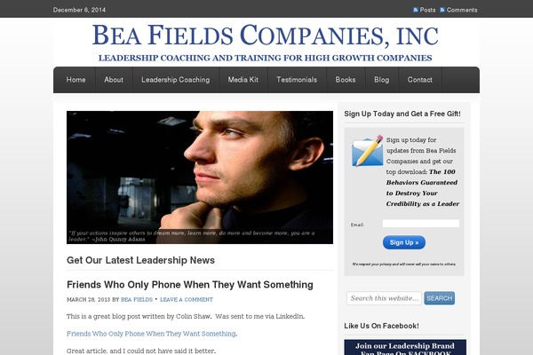 Freelance theme site design template sample