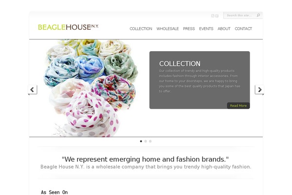 Chameleon theme site design template sample