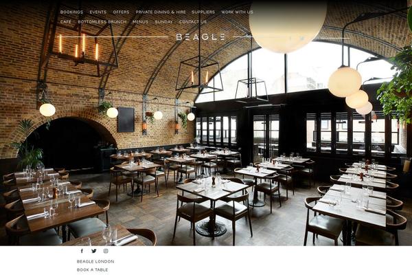 beagle theme websites examples