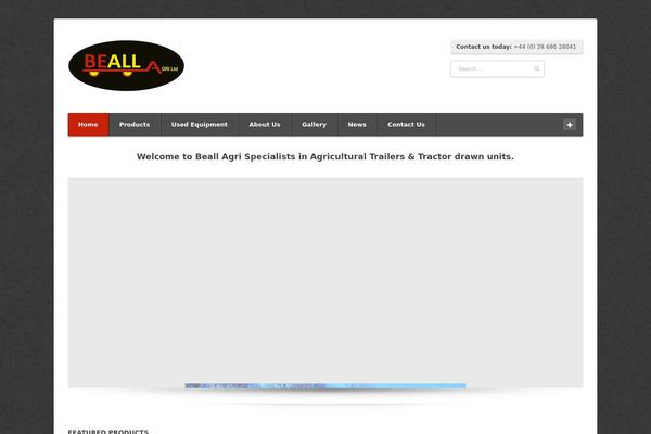 Econo theme site design template sample