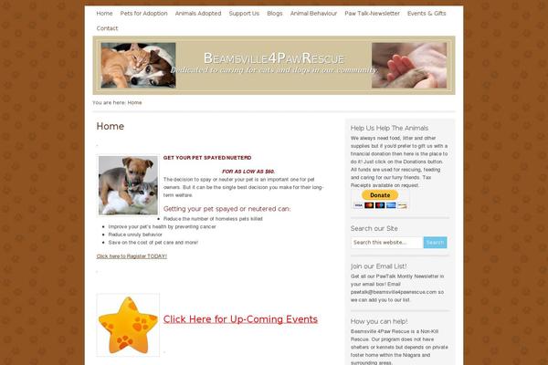 Lifestyle theme site design template sample