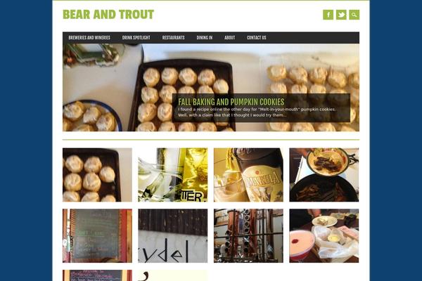 Magazino theme site design template sample