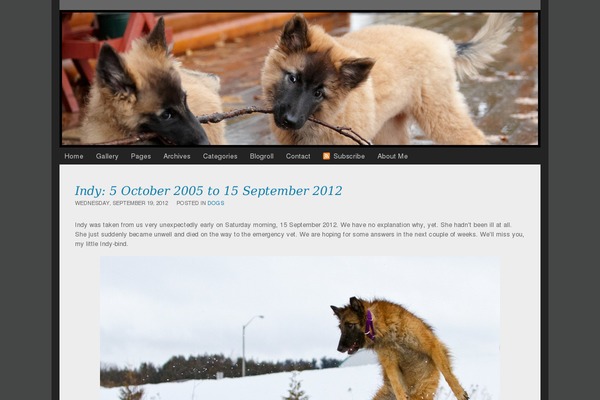 ProPhoto 2 theme site design template sample