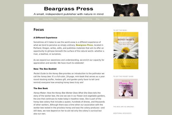 Virtue-child theme site design template sample