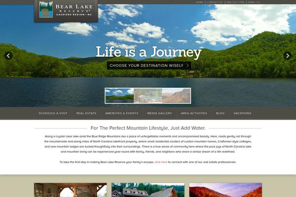 bearlake theme websites examples