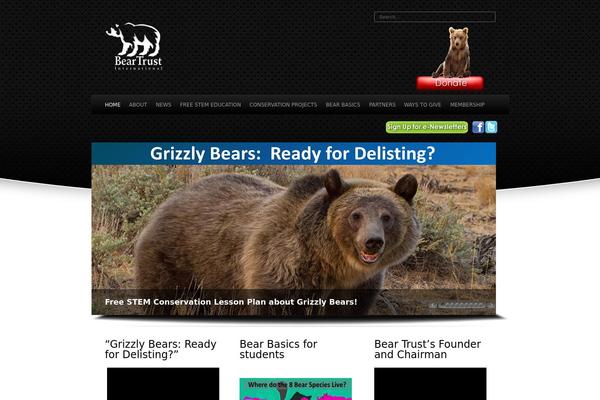 Dice theme site design template sample