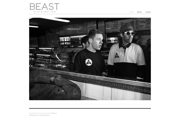 Origin theme site design template sample