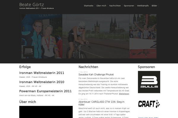 Ts theme site design template sample
